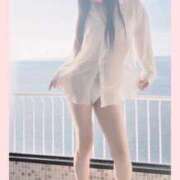 ヒメ日記 2026/01/28 23:11 投稿 向井しおり セレブ嬉野