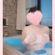 ヒメ日記 2026/01/29 19:36 投稿 向井しおり セレブ嬉野