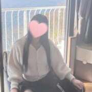 ヒメ日記 2026/02/09 20:56 投稿 向井しおり セレブ嬉野