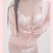 ヒメ日記 2026/02/19 08:32 投稿 向井しおり セレブ嬉野