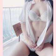 ヒメ日記 2026/04/07 07:56 投稿 向井しおり セレブ嬉野