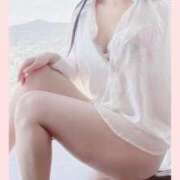 ヒメ日記 2026/04/13 08:56 投稿 向井しおり セレブ嬉野