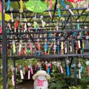 ヒメ日記 2026/07/29 07:56 投稿 向井しおり セレブ嬉野