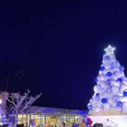 ヒメ日記 2024/12/20 16:15 投稿 ゆう 長崎佐世保ちゃんこ