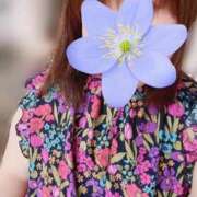 ヒメ日記 2025/04/19 22:27 投稿 ゆう 長崎佐世保ちゃんこ