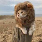 ヒメ日記 2024/12/19 23:57 投稿 たまえ アバンチュール（難波）