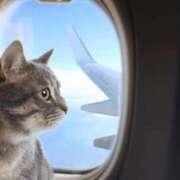 ヒメ日記 2025/03/10 11:49 投稿 たまえ アバンチュール（難波）