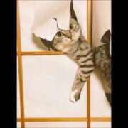 ヒメ日記 2025/11/11 16:30 投稿 たまえ アバンチュール（難波）