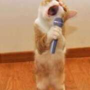 ヒメ日記 2025/11/19 15:44 投稿 たまえ アバンチュール（難波）