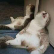 ヒメ日記 2026/04/09 11:10 投稿 たまえ アバンチュール（難波）