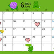 ヒメ日記 2025/06/04 11:33 投稿 ゆあ 恋人感　土浦店