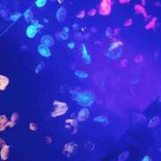 ヒメ日記 2025/04/30 17:06 投稿 めろ club さくら日本橋店