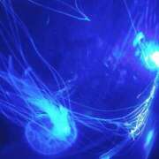 ヒメ日記 2025/05/31 10:26 投稿 めろ club さくら日本橋店