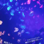 ヒメ日記 2025/06/09 13:16 投稿 めろ club さくら日本橋店