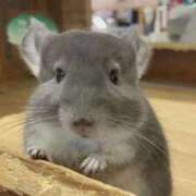 ヒメ日記 2025/10/29 12:06 投稿 めろ club さくら日本橋店