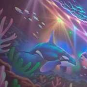 ヒメ日記 2026/02/07 19:56 投稿 めろ club さくら日本橋店