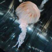 ヒメ日記 2026/04/11 12:46 投稿 めろ club さくら日本橋店