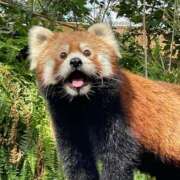 ヒメ日記 2025/09/30 11:08 投稿 やよい タレント倶楽部アダルト