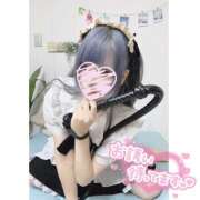 ヒメ日記 2025/03/06 20:24 投稿 れん かりんと池袋