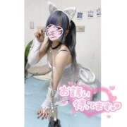 ヒメ日記 2025/04/03 19:22 投稿 れん かりんと池袋