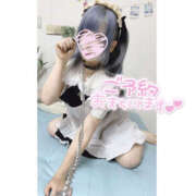 ヒメ日記 2025/07/15 16:39 投稿 れん かりんと池袋