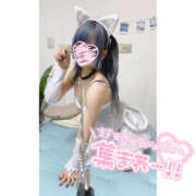 ヒメ日記 2025/08/15 20:14 投稿 れん かりんと池袋