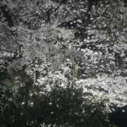 ヒメ日記 2025/04/08 22:29 投稿 水原　希子 湯房蔵屋