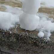 ヒメ日記 2025/12/26 17:21 投稿 みるく 石川金沢ちゃんこ