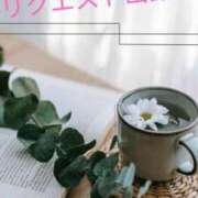 ヒメ日記 2025/05/13 14:03 投稿 ほたる ルージュ(会津若松)