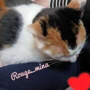 ヒメ日記 2024/12/18 15:12 投稿 みな ルージュ(会津若松)