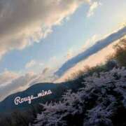 ヒメ日記 2025/04/24 20:33 投稿 みな ルージュ(会津若松)