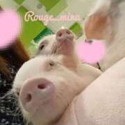 ヒメ日記 2025/05/13 20:27 投稿 みな ルージュ(会津若松)