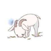 ヒメ日記 2025/06/05 23:33 投稿 みな ルージュ(会津若松)