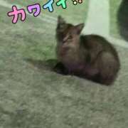 ヒメ日記 2025/08/05 19:51 投稿 みな ルージュ(会津若松)