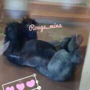 ヒメ日記 2025/09/27 23:21 投稿 みな ルージュ(会津若松)