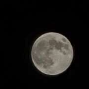 ヒメ日記 2025/03/14 07:27 投稿 あやね ルージュ(会津若松)