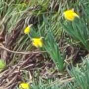 ヒメ日記 2025/04/02 10:48 投稿 あやね ルージュ(会津若松)