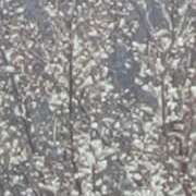 ヒメ日記 2025/04/14 10:48 投稿 あやね ルージュ(会津若松)