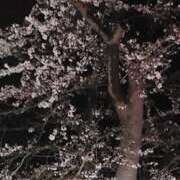 ヒメ日記 2025/04/16 10:03 投稿 あやね ルージュ(会津若松)