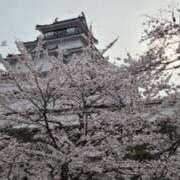 ヒメ日記 2025/04/18 10:33 投稿 あやね ルージュ(会津若松)