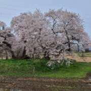 ヒメ日記 2025/04/18 10:42 投稿 あやね ルージュ(会津若松)