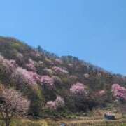 ヒメ日記 2025/04/26 15:18 投稿 あやね ルージュ(会津若松)