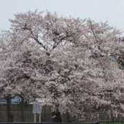 ヒメ日記 2025/10/04 15:27 投稿 あやね ルージュ(会津若松)