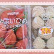 ヒメ日記 2026/02/20 11:03 投稿 あやね ルージュ(会津若松)