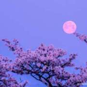 ヒメ日記 2026/04/02 15:03 投稿 あやね ルージュ(会津若松)