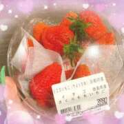 ヒメ日記 2026/02/24 16:38 投稿 もえか ドMバスターズ 京都店