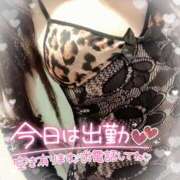 ヒメ日記 2026/03/12 08:46 投稿 もえか ドMバスターズ 京都店