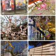 ヒメ日記 2026/03/16 07:22 投稿 もえか ドMバスターズ 京都店