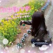 ヒメ日記 2026/03/23 15:39 投稿 もえか ドMバスターズ 京都店