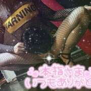 ヒメ日記 2026/03/24 19:11 投稿 もえか ドMバスターズ 京都店